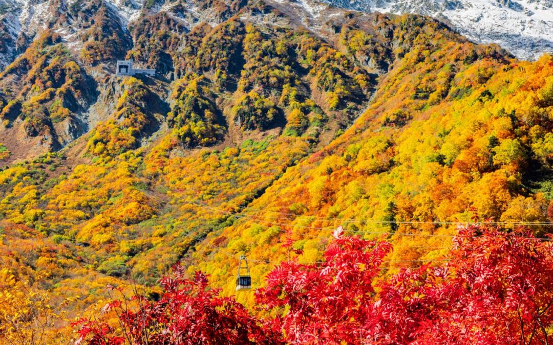 まいちんの撮影レポート「三段紅葉の絶景」